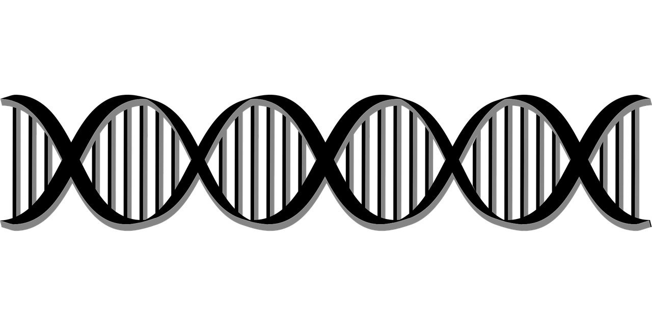 Waarom kiezen voor een DNA test?